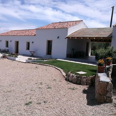 Appartamento L'Albero Magico Nella Campagna Gallurese Santa Teresa Gallura Exterior foto