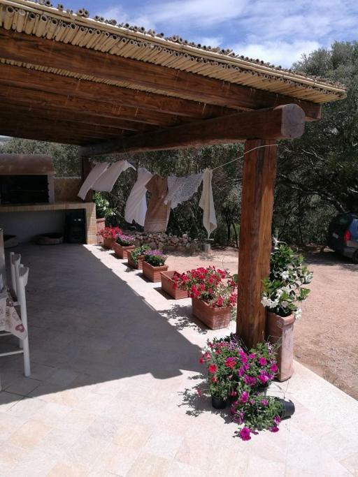 Appartamento L'Albero Magico Nella Campagna Gallurese Santa Teresa Gallura Exterior foto