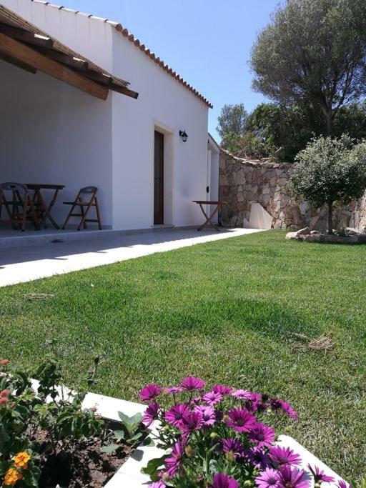 Appartamento L'Albero Magico Nella Campagna Gallurese Santa Teresa Gallura Exterior foto
