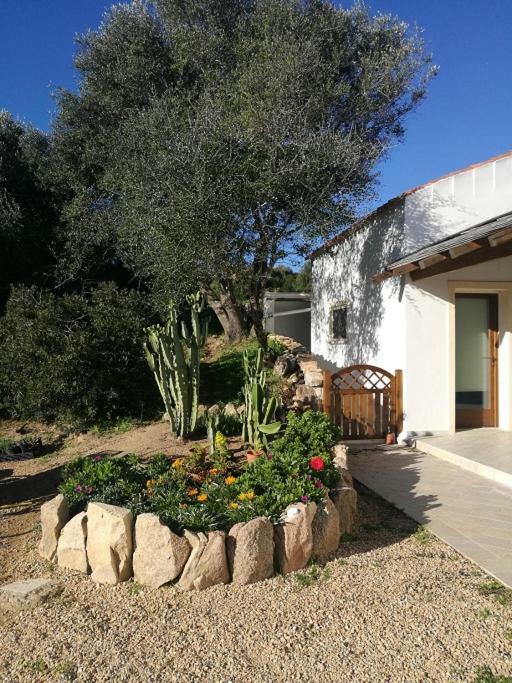 Appartamento L'Albero Magico Nella Campagna Gallurese Santa Teresa Gallura Exterior foto