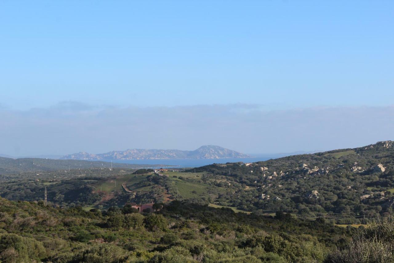 Appartamento L'Albero Magico Nella Campagna Gallurese Santa Teresa Gallura Exterior foto