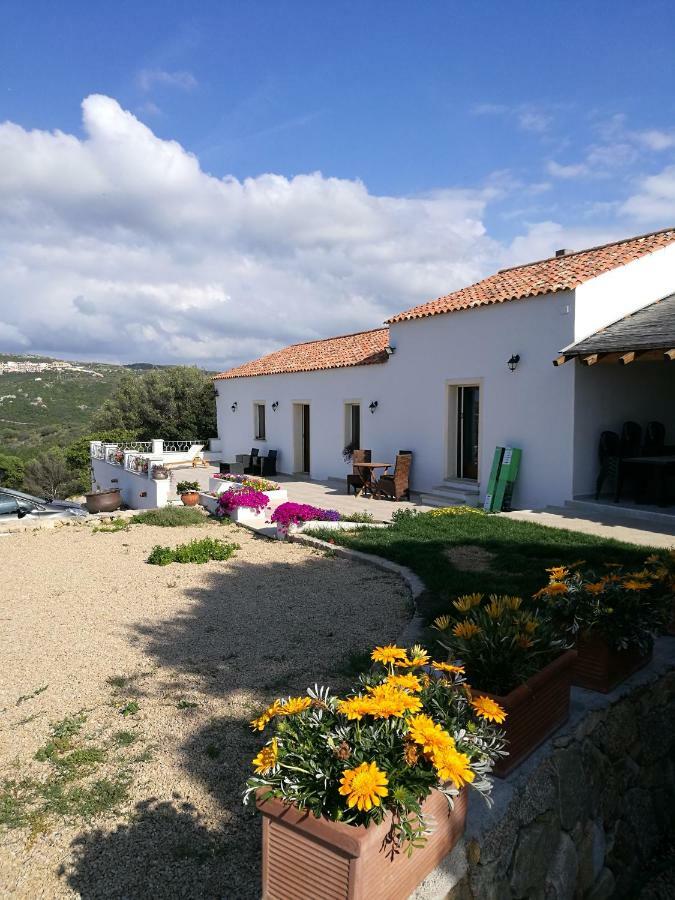 Appartamento L'Albero Magico Nella Campagna Gallurese Santa Teresa Gallura Exterior foto